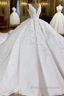Ball Gown V-neck Wide Strap Short Train Tulle Applique Wedding Dress