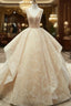 Champagne Ball Gown Lace Tulle Sequins V-neck Backless Wedding Dress
