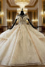 Champagne Ball Gown Tulle Sequins Cap Sleeve Backless Wedding Dress With Train