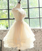 Champagne Lace Tulle Short Prom Dress, Homecoming Dress