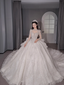 Chic A-Line Long Wedding Dresses Tulle White Bridal Gowns Long Sleeves Bridal Dresses