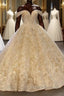 Elegant Long Ball Gown Off the shoulder Tulle Lace Wedding Dress