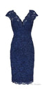Prom Dress Sexy V Neck Navy Blue Lace Short Mother Of The Bride Dress
