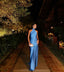 Sexy Sheath Blue Evening Gown Prom Party Dresses