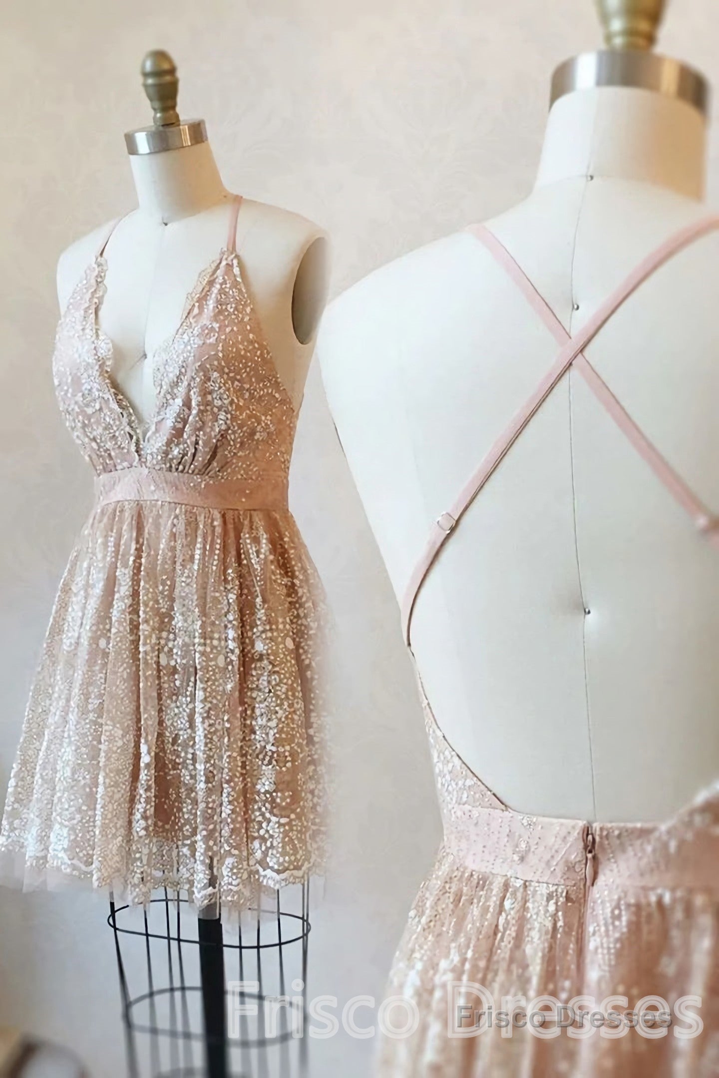 Deep V-neck Spaghetti Straps Sleeveless Short Prom Dresses, Homecoming Dresses Main image
