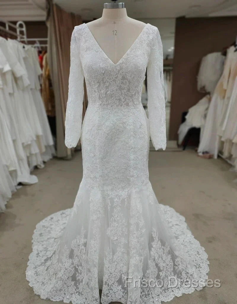 Backless Bohemian Simple V-Neck Long Sleeve Lace Wedding Dress With Train