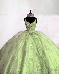Ball Gown V-Neck Corset Appliques Dress