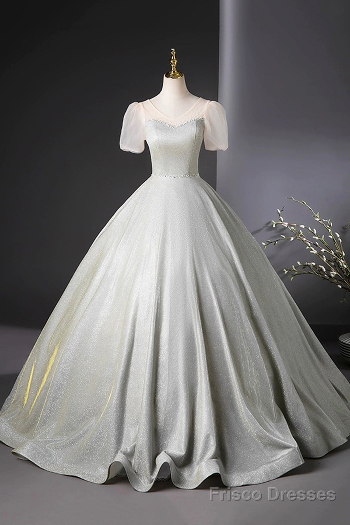 Beautiful Silver Glitter Floor Length Prom Dress, A-Line Short Sleeve Evening Party Dress Main image