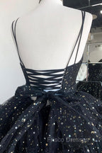 Black A-Line Tulle High Low Formal Prom Dress, V-Neck Evening Party Dress