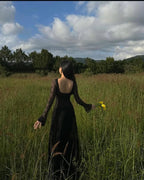 Black Lace Sexy A Line Long Sleeve Evening Dress Prom Dresses Formal Gown