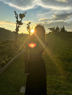 Black Lace Sexy A Line Long Sleeve Evening Dress Prom Dresses Formal Gown