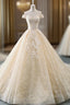 Champagne Ball Gown Tulle Lace Appliques Wedding Dress With Train