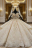 Champagne Ball Gown Tulle Sequins Appliques Off the Shoulder Luxury Wedding Dress