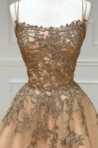 Champagne Lace Tulle Long Formal Prom Dress Formal Dress Ball Gown