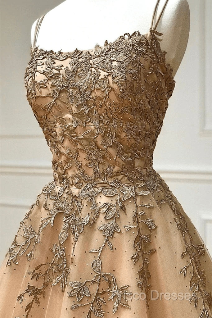Champagne Lace Tulle Long Formal Prom Dress Formal Dress Ball Gown