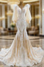 Champagne Mermaid Tulle Long Sleeve Appliques Formal Prom Dress