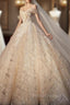 Champagne Sequins Tulle Off the Shoulder Appliques Wedding Dress