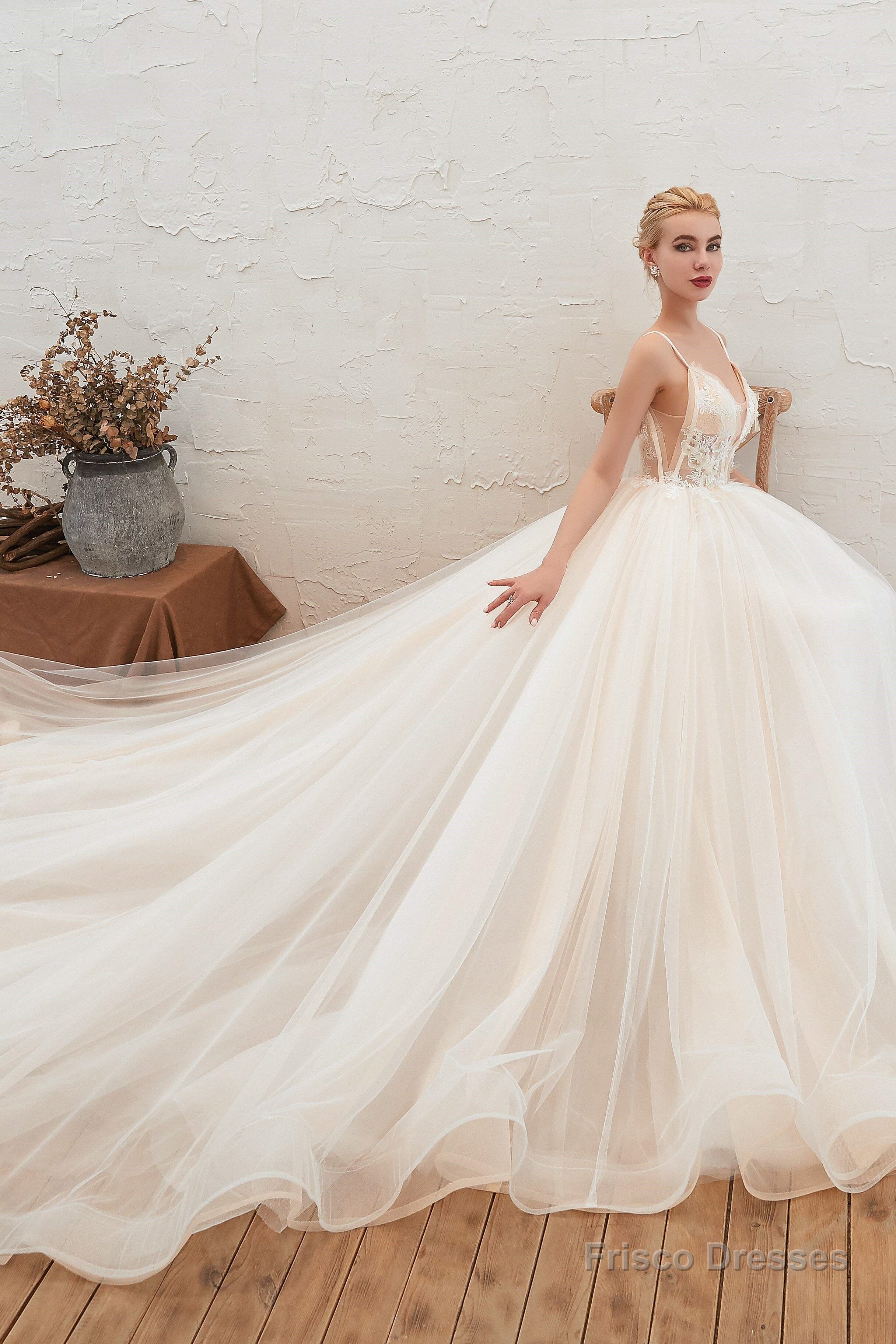 Champagne Spaghetti Straps V-neck Floor Length A-line Lace Tulle Wedding Dresses Main image