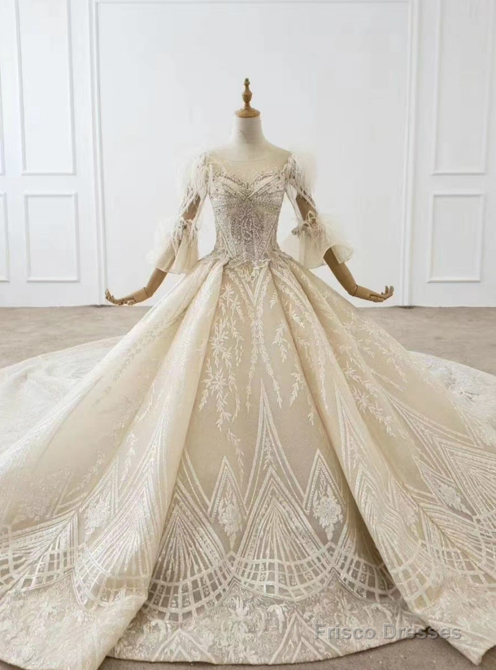 Champagne Tulle Sequins Appliques Beading Feather Puff Sleeve Wedding Dress Main image
