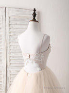 Champagne V Neck Tulle Lace Applique Long Prom Dress Sweet 16 Dress