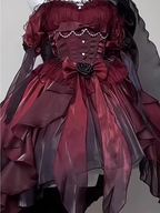 Chic High Low Halter Burgundy Organza Party Dresses Birthday Outfits