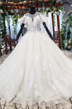 Elegant Ball Gown Big Wedding Dresses, Appliques Bridal Dress With Short Sleeves