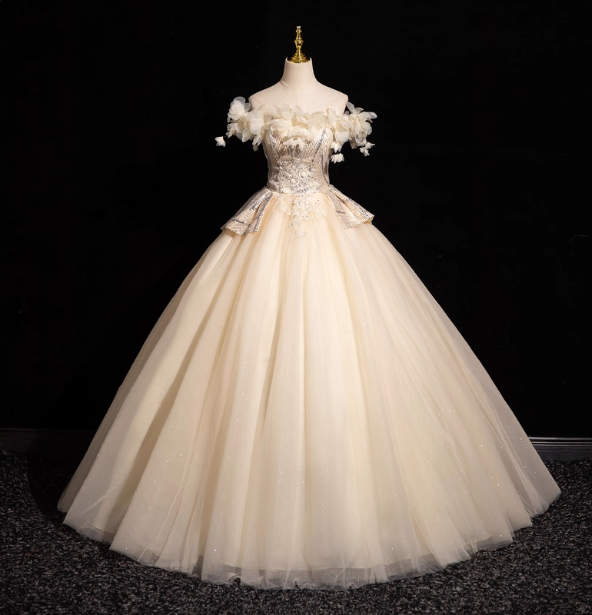Elegant Champagne One-Shoulder 3D Floral Tulle Long Ball Gown Evening Dress Sweet 16 Dress