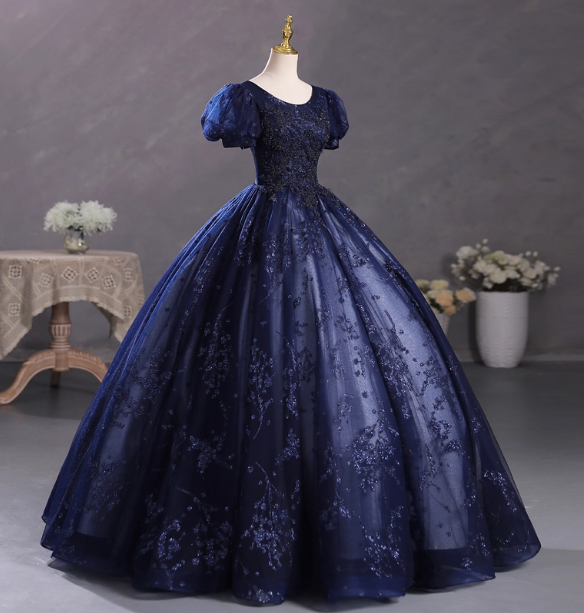 Elegant Court Navy Blue Crew Neck Puff Sleeve Embroidered Tulle Ball Gown Evening Dress Sweet 16 Dress