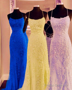 Elegant Mermaid Lace Prom Dresses Open Back