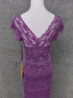 Elegant Purple V-Neck Lace Long Prom Dress Evening Dress