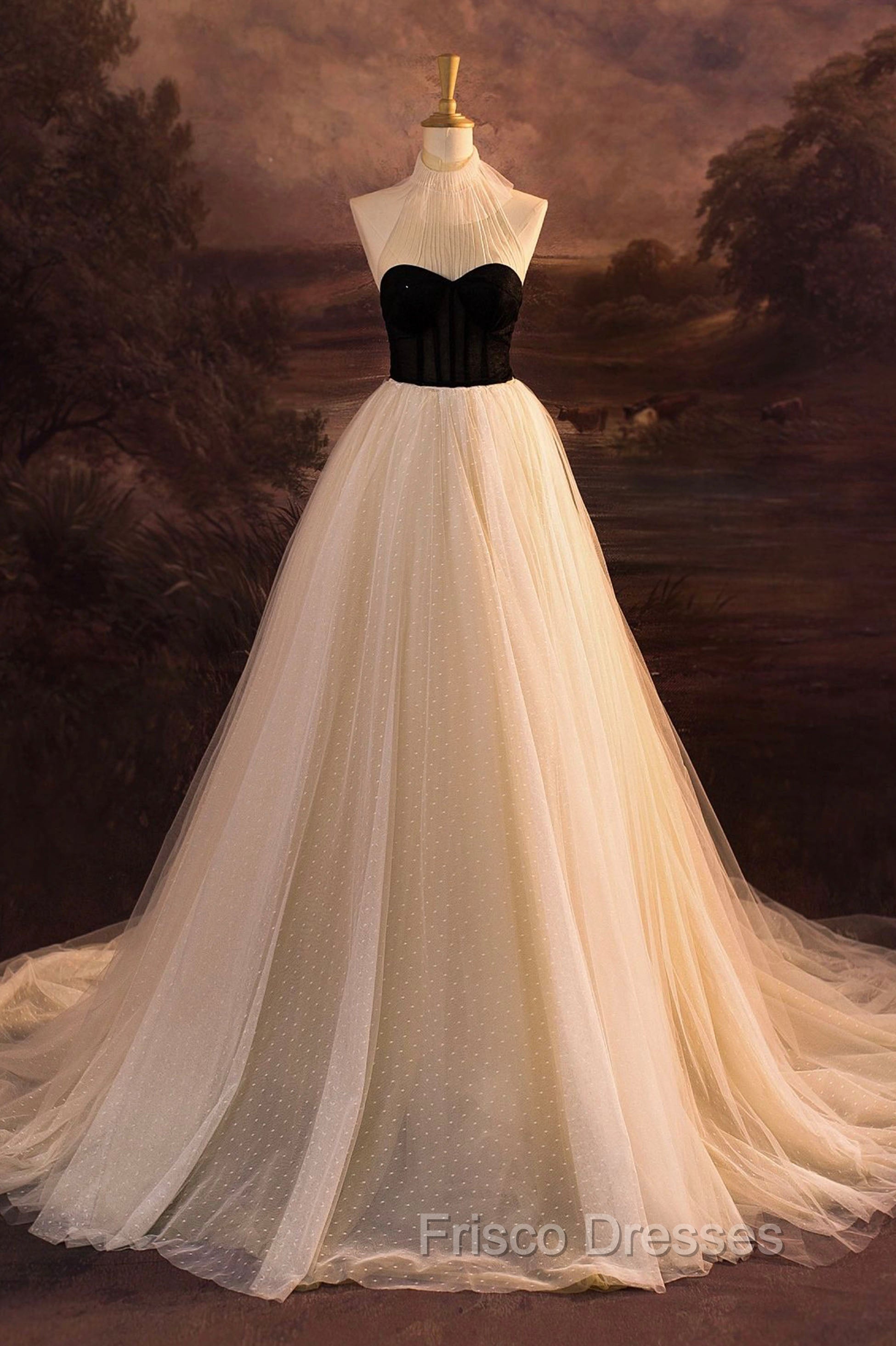 Elegant Tulle Long A-Line Formal Prom Dress, Evening Party Dress