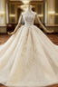 Fashion Dark Champagne Tulle Sequins Beading Wedding Dress With Train