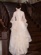 Champagne Tulle Long Sleeve Evening Party Dress