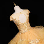 Gorgeous Champagne Ball Gown Sweet 16 Gown with Lace, Flowers Lace Formal Dress