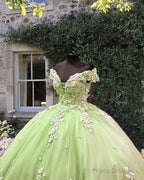 Light Green Off Shoulder Ball Gown Dress With 3D Lace Flowers