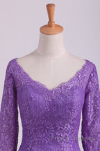 Mermaid V Neck 3/4 Length Sleeve Lace Floor Length Mother Of The Bride Dress