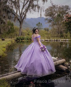 Off the Shoulder Lavender Sequin 3D Floral Quinceanera Dress