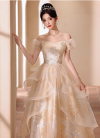 Princess Champagne Gold A-Line Embroidered Tulle Long Prom Dress Evening Dress
