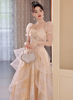 Princess Champagne Gold A-Line Embroidered Tulle Long Prom Dress Evening Dress