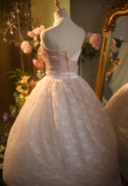 Princess Light Pink Strapless Lace Ball Gown Evening Dress Sweet 16 Dress
