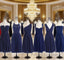 Short Navy Blue Chiffon Mismatch Maid Of Honor Girls Group In Knee Length Simple Cheap Formal Prom Dress