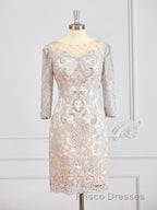 Sheath/Column Bateau Short/Mini Chiffon Mother of the Bride Dress With Appliques Lace