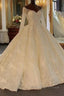 Shinny Long Ball Gown Sweetheart Tulle Lace Wedding Dress with Sleeves