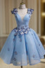 Sky Blue Homecoming Dress Butterfly Applique Short Formal Prom Dress