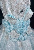 Sky Blue Mermaid Spaghetti Straps Organza Diamond Long Formal Prom Dress Lace Floral Formal Gown