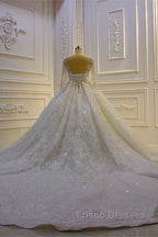 Sparkle 3D Lace Appliques Long Sleevess Church Train Wedding Dress