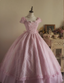 Sweet Court Light Pink Embroidered Floral Tulle Ball Gown Evening Dress Sweet 16 Dress