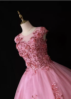 Sweet Princess Pink Crew Neck Embroidered Tulle Long Prom Dress Evening Dress