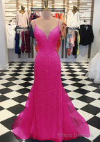 Trumpet/Mermaid V Neck Sleeveless Court Train Lace Tulle Prom Dresses