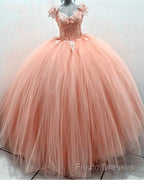 Tulle Ball Gown Dress Lace Embroidery V Neck